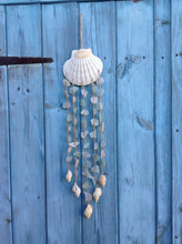 Load image into Gallery viewer, Natural White Scallop Shells - for catering, display and crafts - cleaned and edged